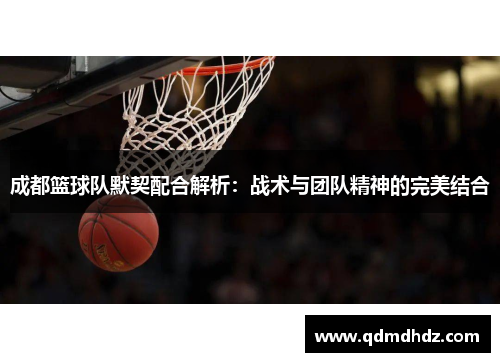 成都篮球队默契配合解析：战术与团队精神的完美结合