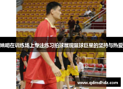 姚明在训练场上专注练习拍球展现篮球巨星的坚持与热爱
