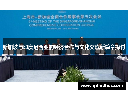 新加坡与印度尼西亚的经济合作与文化交流新篇章探讨